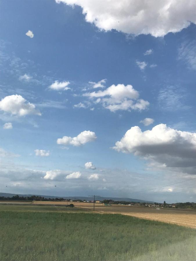 Laupus-Hof Lägenhet Bad Vilbel Exteriör bild